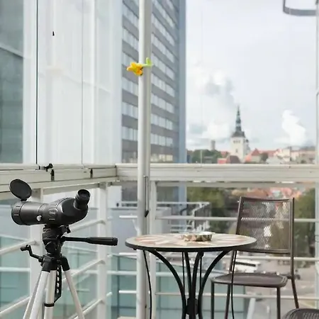 Cozy 2-bedroom Penthouse In The Heart Of Appartement